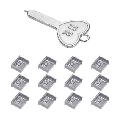 MECCANIXITY 12 Port Blocker Locking USB Port/Dust PC Blocker with Coded Key,Gray