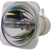 Advanced Lamps 210-170W 0.9 E20.9 Bulb (Lamp Only) for Various Projectors view 1
