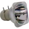 Advanced Lamps 210-170W 0.9 E20.9 Bulb (Lamp Only) for Various Projectors view 3