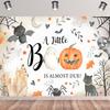 15x10ft Halloween Baby Shower Backdrop A Little Boo is Almost Due Background Cartoon Ghost Pumpkins Bats Spider Photography Banner Decorations Newborn Birthday Party Photo Booth Props view 2