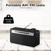MIPDIIT Portable AM FM Radio with Bluetooth Speaker, AC Plug in/USB C Rechargeable or D Battery Operated Transistor Radio, 5W Speaker, 3.5mm Earphone Jack, Support TF Card/USB Playing view 4