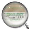 1783-BMS10CA New 1783-BMS10CA Ser Ethernet Switch 10 Ports 12-48V 1783BMS10CA view 1