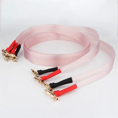 LEOSP OCC Copper Silver Plated Loudspeaker Cable HiFi Flat Speaker Wire with(5 Meters)