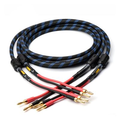 LEOSP 1 Pair HiFi Speaker Cable 6n OFC Speaker Wire with Banana Plug(1 Meters)