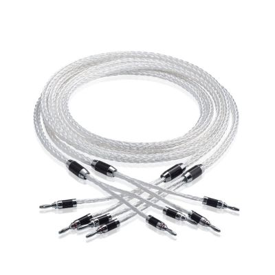 LEOSP 8ag Pure Silver-Plated OCC HiFi Speaker Cable Speaker Wire Compatible with Amplifier and CD(1 Meters)
