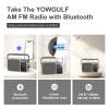 YOWGULF AM FM Radio with Best Reception,Bluetooth Portable AM FM Transistor,Battery Operated Radio or AC Power,Large Dial,Headphone Jack, Gifts for Seniors Elderly view 3
