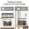 YOWGULF AM FM Radio with Best Reception,Bluetooth Portable AM FM Transistor,Battery Operated Radio or AC Power,Large Dial,Headphone Jack, Gifts for Seniors Elderly view 4