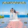 9.8 * 9.8 Feet Metal Backdrop Stand, Pipe and Drape Stand, Heavy Duty Background, Support Curtain Frame, Stable Bases, Adjustable, Flanges view 2