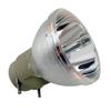 Osram 69805 Projector Bare Bulb - Without Housing Assembly view 1