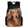 KLWQR Long Haired Dachshund Travel Backpack Lightweight Large Capacity Laptop Backpack Casual Daypack for Men Women view 1