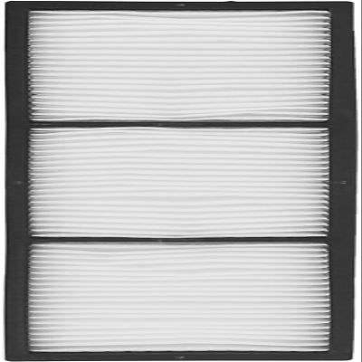 CHNPOFNT ELPAF46 Replacement Air Filter for Projector,Compatible with EPSON EB-Z10000NL,EB-Z10005NL,EB-Z8000WUNL,EB-Z8050WNL,EB-Z8150,EB-Z8350WNL,EB-Z8355WNL,EB-Z8450WUNL,EB-Z8455WUNL Projectors.