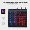 flexman USB Number Pad, 19 Key Wired Numeric Keypad, 3 Colors Breathing LED Backlit Keypad, Portable Mechanical Keyboard for Laptop, Desktop Computer view 2