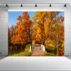 CHNYWORK 15ftx10ft Autumn Scenery Backdrop Alexander Park Lake Bridge Yellow Leaves Russia Park Fall Scenery Background Autumn Fall Party Decoration Banner Baby Shower Photo Studio Props Wallpaper view 1