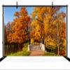CHNYWORK 15ftx10ft Autumn Scenery Backdrop Alexander Park Lake Bridge Yellow Leaves Russia Park Fall Scenery Background Autumn Fall Party Decoration Banner Baby Shower Photo Studio Props Wallpaper view 4