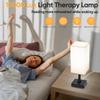 Light Therapy Lamp 10000 Lux Therapy Light with Remote and Touch Control, 3 Color Temperature, 5 Brightness Level Full Spectrum Light with USB C & A Ports Home/Office Use As Lift Mood, Black, 24W view 3
