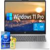 HP Touch Screen Business Laptop Computer, 15.6" FHD IPS LED Display, Intel Core i7-1355U, Windows 11 Pro, Numeric Keypad, Camera Shutter, NLY Earphones, Silver (Intel Core i7, 32GB RAM | 1TB SSD) view 1