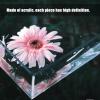 Acrylic Water Tank Photography Suspension Props Shooting Shallow Water Tank, HD Transparent Fish Tank Display Box Water Tank, Floating Photography Props Shooting Tray(80x80x5cm/31.5x31.5x2in) view 3