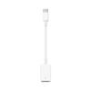 Apple USB-C to USB Adapter view 1