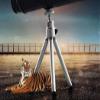 10X50 Big Eyepiece Monocular Telescopes, All Metal Stretch Optical Pirate Mirror, Waterproof Small Lightweight Telescopes, for Outdoor and Nautical,Schwarz Good view 3