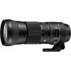 Sigma 150-600mm F5-6.3 DG Contemporary Lens for Nikon F: Telephoto Zoom, 4x Optical Zoom, 150-600mm, F5-6.3, Splash-Resistant, Compatible with Nikon F Mount view 2