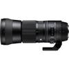 Sigma 150-600mm F5-6.3 DG Contemporary Lens for Nikon F: Telephoto Zoom, 4x Optical Zoom, 150-600mm, F5-6.3, Splash-Resistant, Compatible with Nikon F Mount view 3