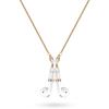 Birwiny Stylish Magnetic Anti-Lost Necklace Chain  Neck-Worn Strap Compatible with AirPods 1&2 /3rd /Pro/Pro 2 Gold Cable Design view 1