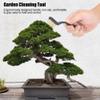 MINI Wire Brush Plastic Handle Tree Trunk Burr Bonsai Garden Tool view 2