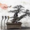 MINI Wire Brush Plastic Handle Tree Trunk Burr Bonsai Garden Tool view 3