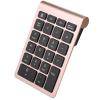LUCKDANO RF304 22 Keys Numeric Keypad USB Keyboard with Receiver, Ergonomic Design and Low Delay Response Speed, Suitable for Office Use and Home Computing (Iron Grey) (Rose view 1
