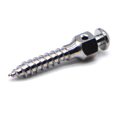 5 Pieces Screw Dental Titanium Matching Tools Micro Screws for Dental Tools Micro Screws 1.6 * 8(1.6x6mm)