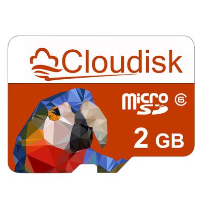 Cloudisk Parrot-Prime Micro SD Card 2GB Flash Memory Card C6 (2 GB)
