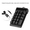 Locadence Wired Number Pad, 19 Keys Numeric Keypad with 4.9Ft USB Cable, Plug and Play Portable Financial Accounting Keyboard for Laptop Desktop PC view 4
