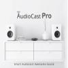 ACEMAX Audiocast Pro M20 Wireless WiFi Audio Receiver Multiroom Adaptor for Speaker Systems Convert Wired Speakers into Wireless Airplay WiFi Ethernet Bluetooth and Remote Control Compatibility view 2