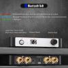Facmogu M9 Stereo Audio Amplifier, 300W Home 2 Channel Wireless Bluetooth 5.0 Power Amp w/24V Adapter, TPA3255 300W x 2 Class D Stereo Digital Amplifier with DSP for Wired Speakers, Home Audio System view 4