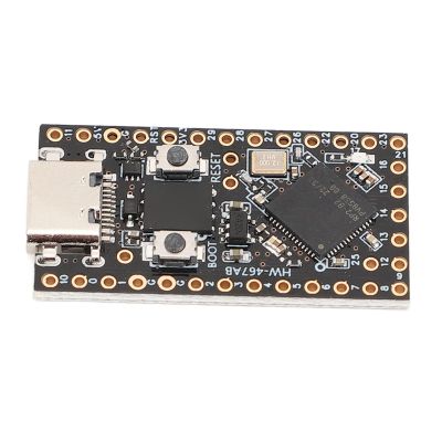 Development Board,RP2040 Development Module with I2C SPI UART Interface for RPi Pico
