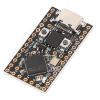 Development Board,RP2040 Development Module with I2C SPI UART Interface for RPi Pico view 3