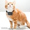 HD Dog Camera Collar, Video and Photo 170 Wide Angle, Small DV Camera, for Pet Activities, Travel, 1920x1080P Resolution, 30FPS Recording, Support Up to 128GB Memory Card view 4