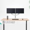 iumLeap Dual Monitor Mount, Full Motion Articulating Aluminum Gas Spring Monitor Arm, for Max 27 Inch Computer Screens Up to 17.6lbs/8kg, Easy to Install(A) view 3