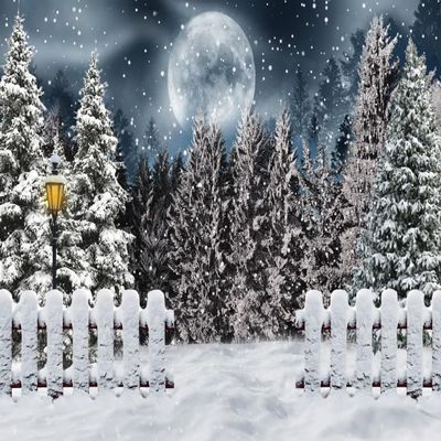 15x1 Snow Backdrop Front Yard Fence Photography Background Full Moon Night Christmas Trees Backdrop Snow Gleams White for Winter Outdoor Natural Landscape Photo Shot Background Supplies