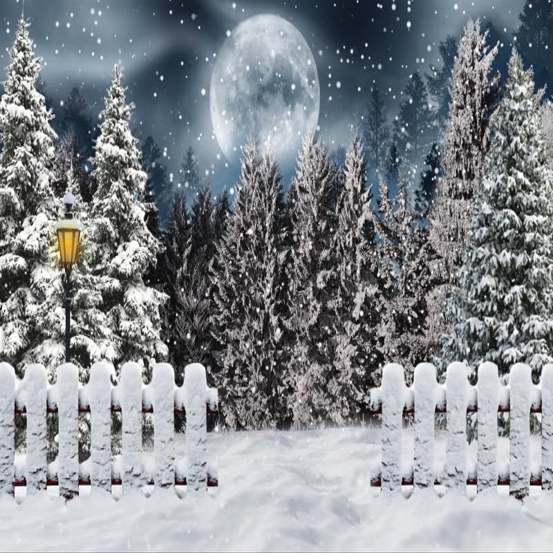 15x1 Snow Backdrop Front Yard Fence Photography Background Full Moon Night Christmas Trees Backdrop Snow Gleams White for Winter Outdoor Natural Landscape Photo Shot Background Supplies