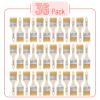 Bates- Chip Paint Brushes, 2 Inch, 36 Pack, Chip Brush, Brushes for Painting view 2