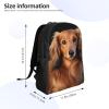 DJUETRUI Backpack for Men Women Lightweight Travel Backpack Long haired Dachshund Carry On Backpack Laptop Backpack Casual Daypack view 2