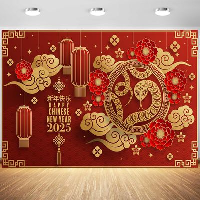 12x8ft Happy Chinese New Year Backdrop 2025 Year of The Snake Photography Background Chinese Spring Festival Lunar New Year Party Decorations Supplies Photo Studio Props