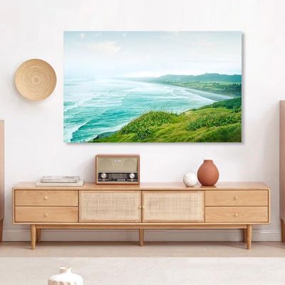 19-80in Indoor Dustproof TV Cover LCD/LED Protective Cover TV Dust Cover Display Protective Cover Dustproof TV Screen Protector(Size:75in(174x100cm),Color:A)