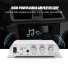 QANYEGN Stereo Audio Amplifier, Mini HiFi 2.1 Stereo Bass, Auto Car Home Audio Power Amplifier, Digital Amp for Car Motorcycle Home (Silver) view 2