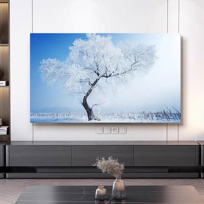42-100in Universal Indoor TV Dust Cover Cloth Bedroom Living Room Decor LED LCD Display Dust Cover Cloth Protective TV Screen Protector(Size:100in,Color:C)