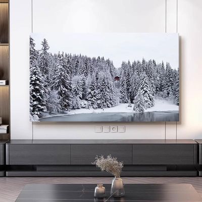 42-100in Universal Indoor TV Dust Cover Cloth Bedroom Living Room Decor LED LCD Display Dust Cover Cloth Protective TV Screen Protector(Size:70-75in,Color:B)