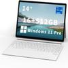 FUNYET 2 in 1 Laptop Touchscreen, 14 Inch Tablet Laptop Computer, 12th Gen N100 Processor, 16GB DDR5 RAM, 512GB SSD, 1920 x 1200, Wi-Fi 6, BT5.2, Backlit Keyboard, Windows 11 Pro view 1