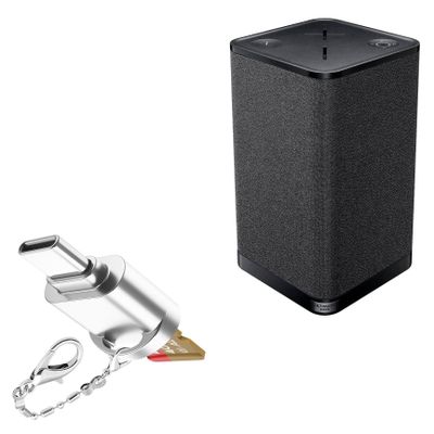 BoxWave Adapter Compatible with Ultimate Ears Hyperboom - Micro SD Card miniReader, USB Type-C OTG Reader USB3.0 Adapter Keychain - Metallic Silver