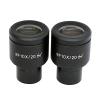 Microscope Accessories Kit WF10X High Eye-Point Microscope Eyepiece Field of View 20mm Eyepiece Mounting 23.2mm for Biological Microscope, with or Without Reticle Scale(1 PC with Scale) view 2